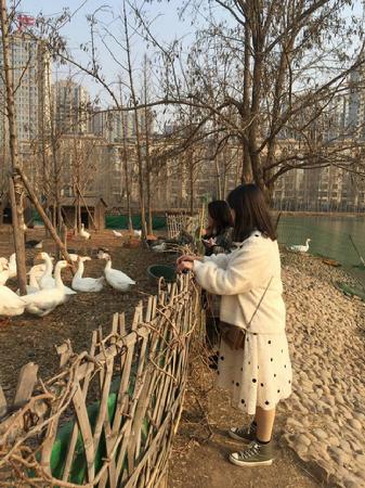 QQ图片20190315165041